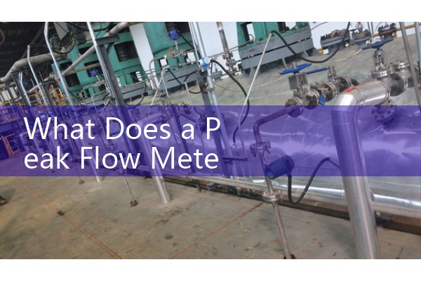 What Does a Peak Flow Meter Measure? A Simple Guide to Lung Function Testing